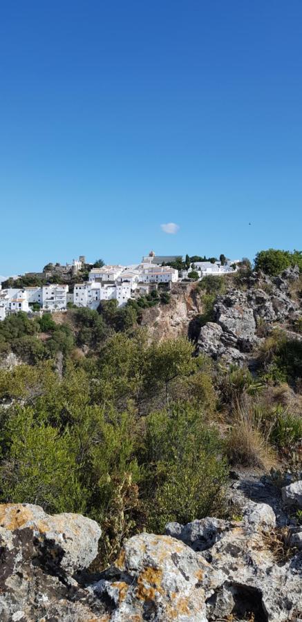 Puerto Estepona Eksteriør billede